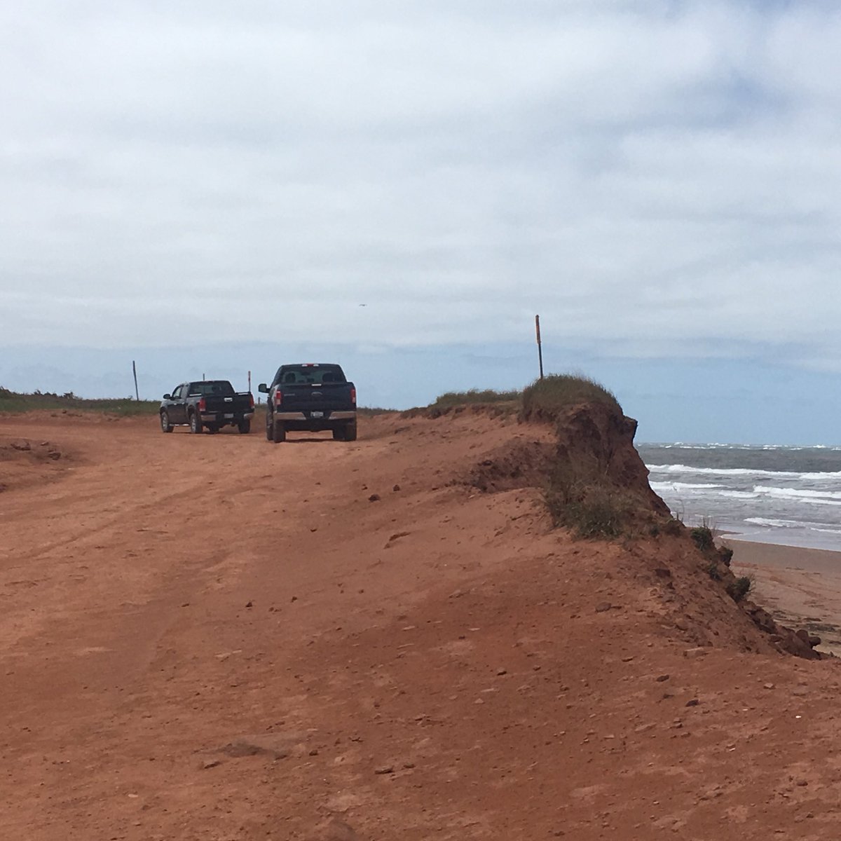 beachbumgypsies's tweet image. PEI Bitches! #myisland