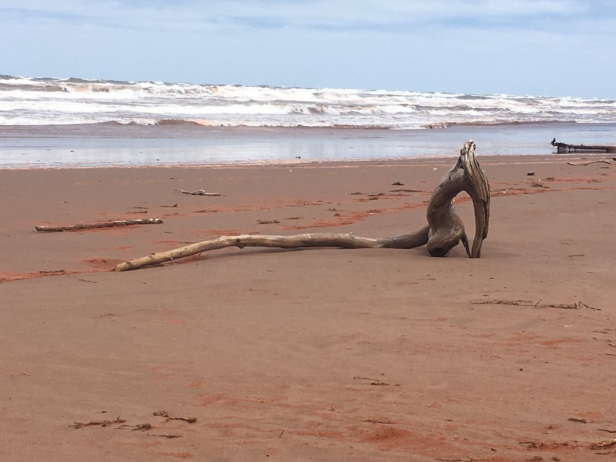beachbumgypsies's tweet image. PEI Bitches! #myisland