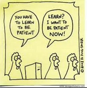 Liron Segev is TheTechieGuy tweet media