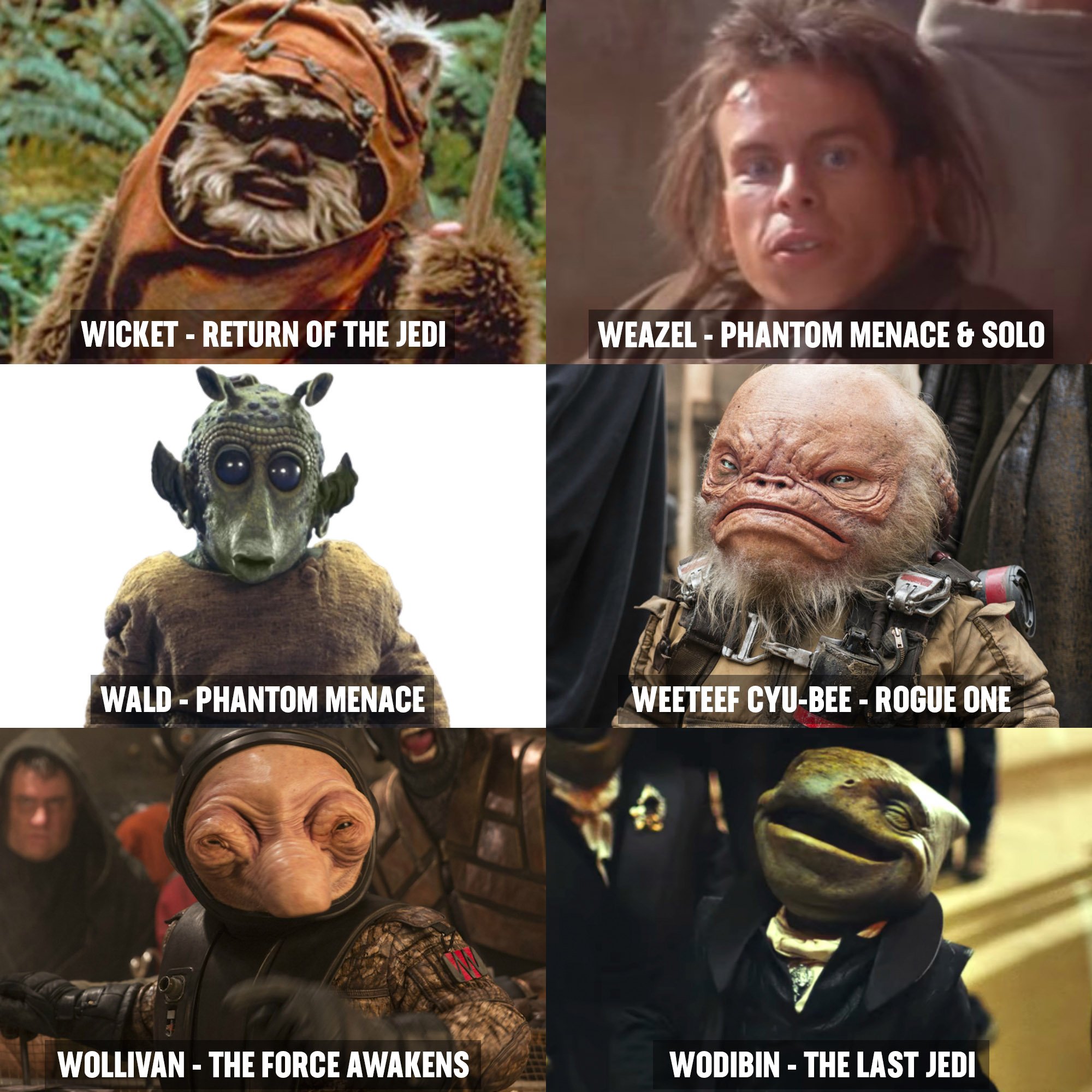Warwick Davis Star Wars Episode 1
