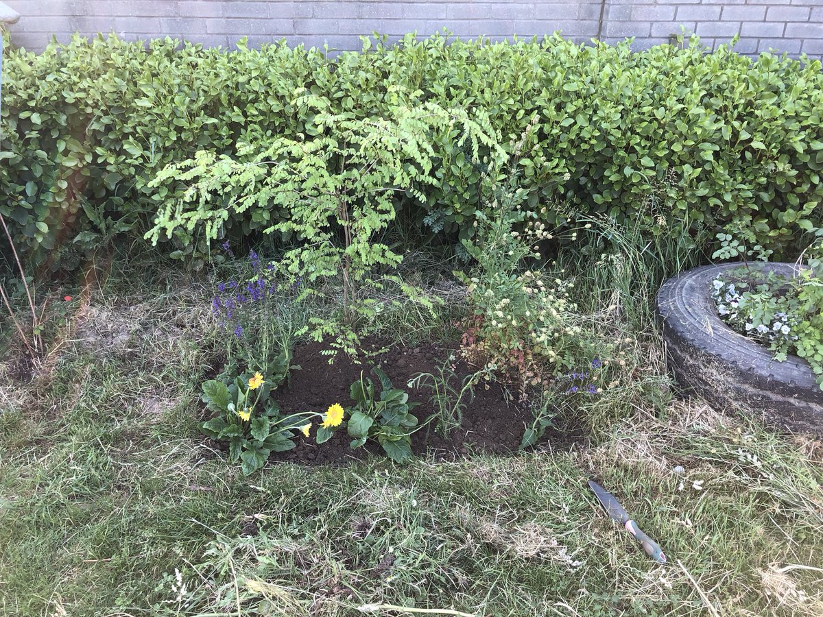 Riverside Garden tweet media