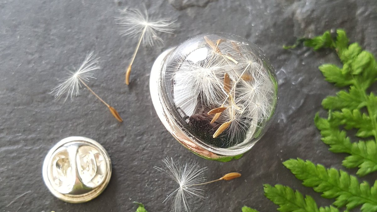 ButterflyBandT's tweet photo. @TheoPaphitis My garden is the main inspiration behind my botanical jewellery range. I love using seasonal plants and flowers in my handmade jewellery as well as designing pieces based on the garden visitors we get 🦋🌿🕊

#SBS #Smallbusinesses #handmade https://t.co/RJsjRFSn5L