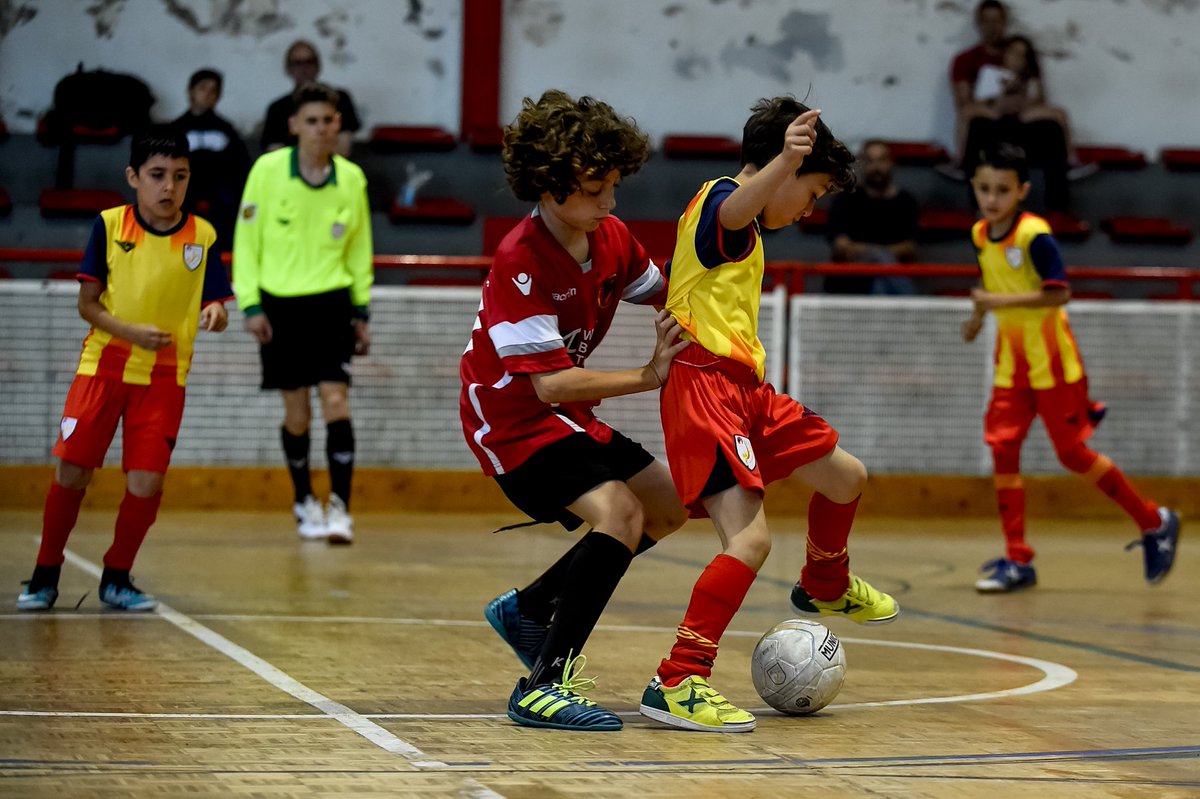 FCF_CAT's tweet photo. Victòria de la Selecció Catalana Prebenjamí de Futbol Sala davant del @FsRipollet  https://t.co/zNRaAumPQL #SeleccionsCATFS #PrebenjamiFS https://t.co/7TRq42igKP