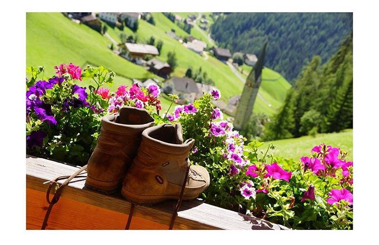 #chillin on a Sunday afternoon, after a glorious day’s #hiking