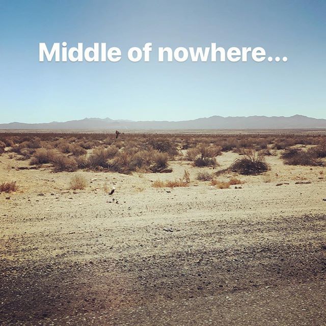 MainstayDesign's tweet image. Road trip.  Time to get #offthegrid
*
*
#roadtrip #desert #tumbleweed #campingtrip ift.tt/2JbAtna