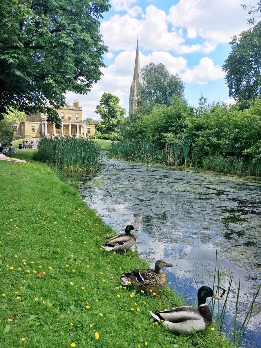 Ducks enjoying the sun in Clissold Park today @welovestokey @clissoldpark