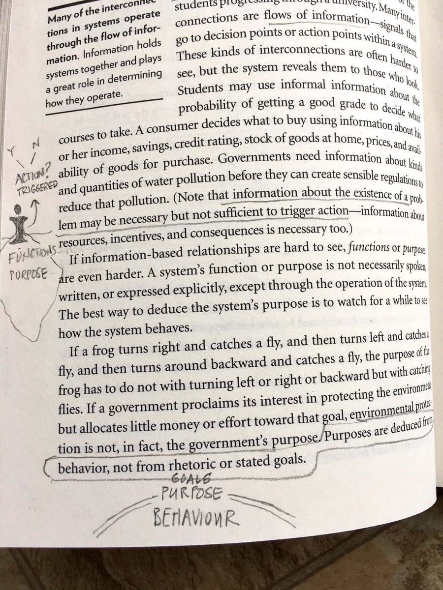 rosanna_acf's tweet photo. Does anybody else do this? I love drawing & marking up the margins when I read books for knowledge, to make meaning for myself. It helps me to remember better too! #markingupbooksiread #drawingonthemargins #booksiread #learningbydrawing https://t.co/mUK7sU44Fy