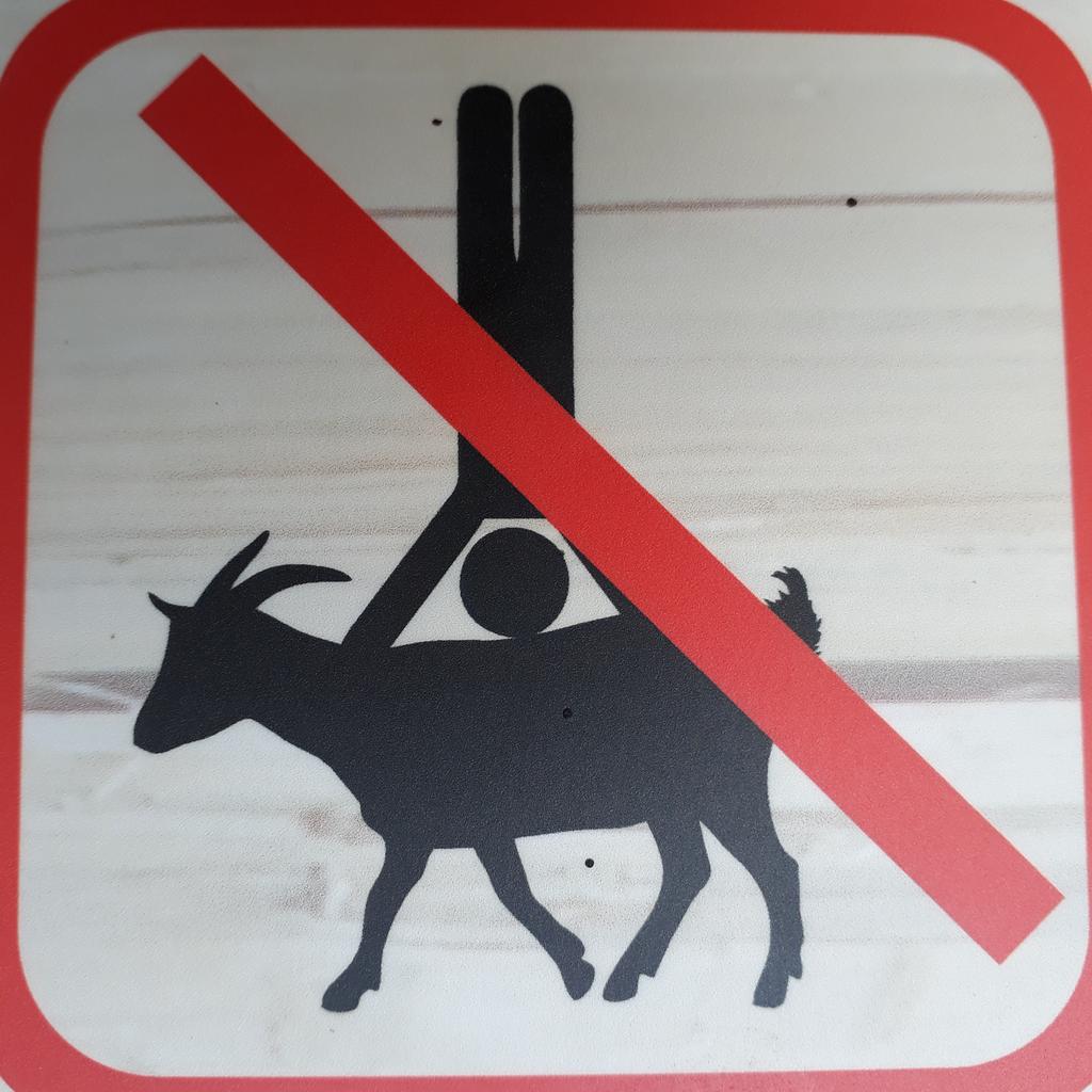 Ixtab81's tweet photo. @Nazzmul24 Vielleicht ist es auch verboten auf Ziegen Handstand zu machen xD https://t.co/vvtGWaV7sa