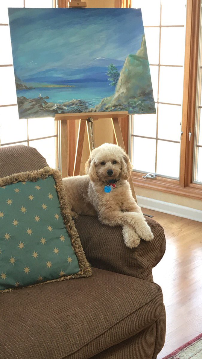 CharlieDogwin's tweet photo. #HappyBirthday to me!! 2 years old today!! @Dogs_Rating @dog_feelings @itsdougthepug you’re all invited to my party https://t.co/GP81IeJKxG