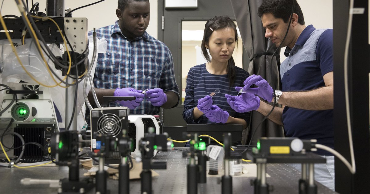 HiLiteSystems's tweet image. Binghamton University professors are confident they can develop a fungus that will heal cracks in concrete: press.sn/2rhi6B5 #Concrete #Infrastructure