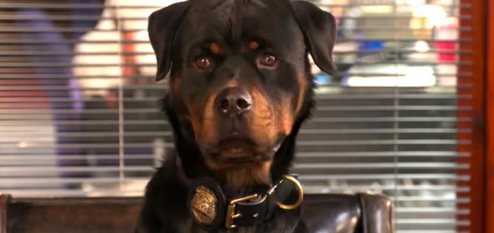 RhettShadow's tweet image. Worst Movies of May 2018 citimedia.net/movie-reviews/…