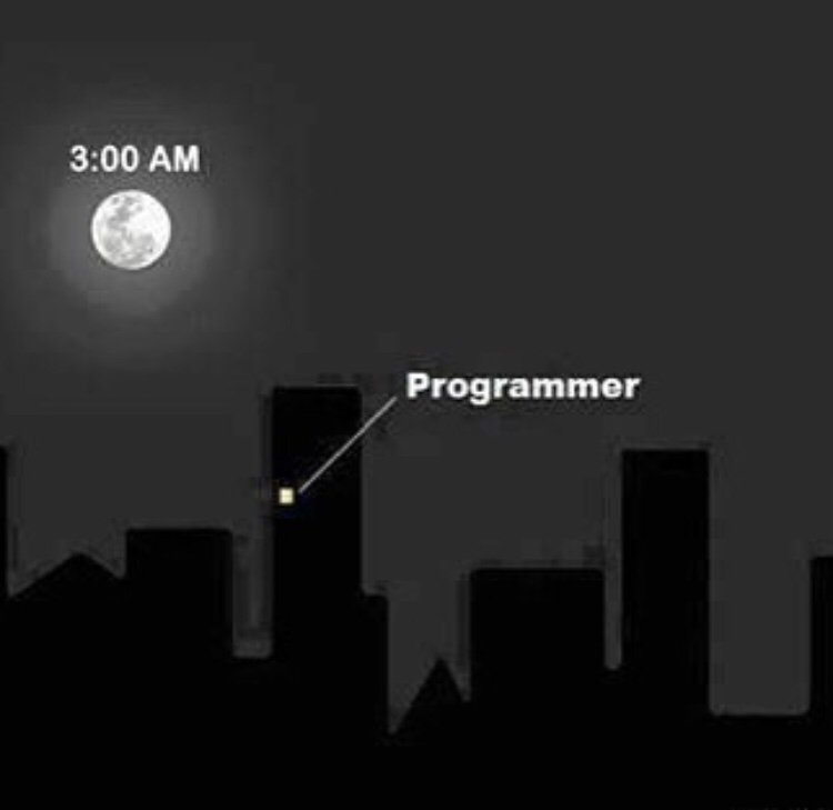 OnlineJaao's tweet photo. Relatable much?

#webdevelopment #webdeveloper #webmemes #webdevelopmentcompany #webdesignmeme #webdesigner #programmer #programmermemes #memes #codememe #onlinejaao https://t.co/zb3emoNgru