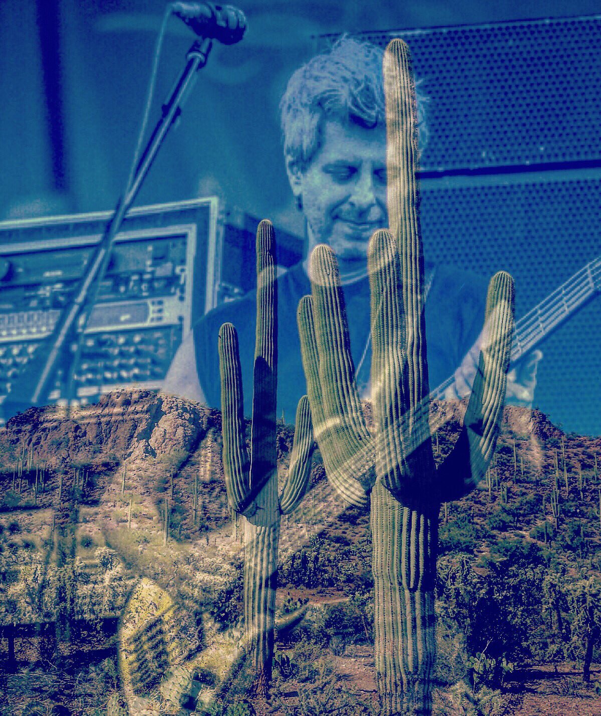 Happy Birthday Cactus...   