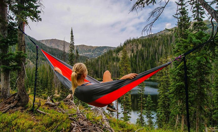 Irene Conlan tweet media