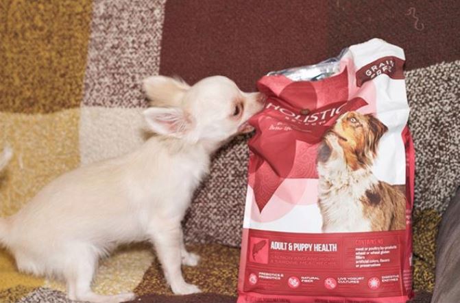 holisticselect's tweet photo. CAPTION THIS! Winner will receive a #holisticselect prize pack! https://t.co/cRiN3Yfjhx