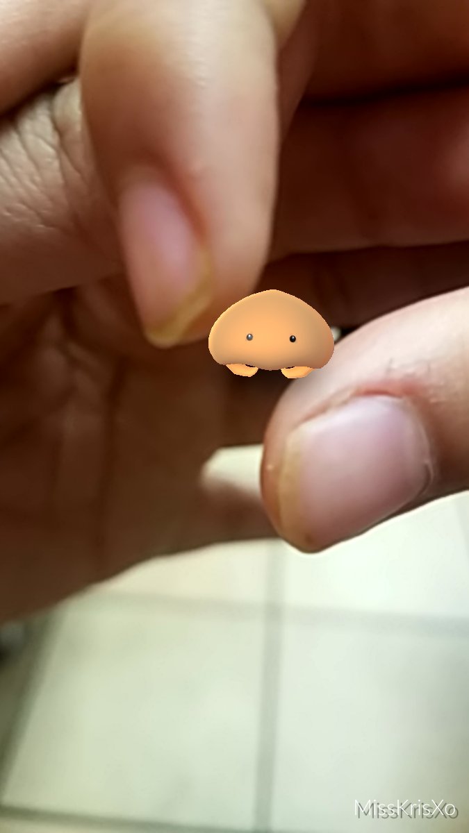 MissKrisXo's tweet photo. My nephew picked this off the ground 😂#pokemongo #AR #noplus #SamsungGang lol #pokemon #GoSnaps https://t.co/dq6sTcsUMc