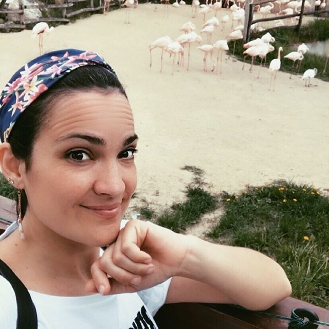 fra_unpo's tweet photo. Qui è quando sei super trendy e non ti compri le cose con i fenicotteri ma vai in giro proprio i fenicotteri vivi! 😉#francescapace #picoftheday #bloggerstyle #bloggers #bloggeritalia #vitadablogger #instatime #bloggerlife #styleblogger #freetime #lif… https://t.co/oCi2NjndbF https://t.co/ZT8BShKcMu