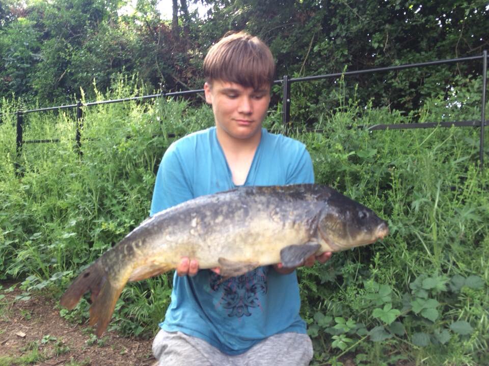 AbilityTackle's tweet photo. Junior member Connor Gibson with these lovely carp from a trip down to his local club water using the ability curve  #abilitytackle #abilitycurve #carp https://t.co/UEv44GmqCF