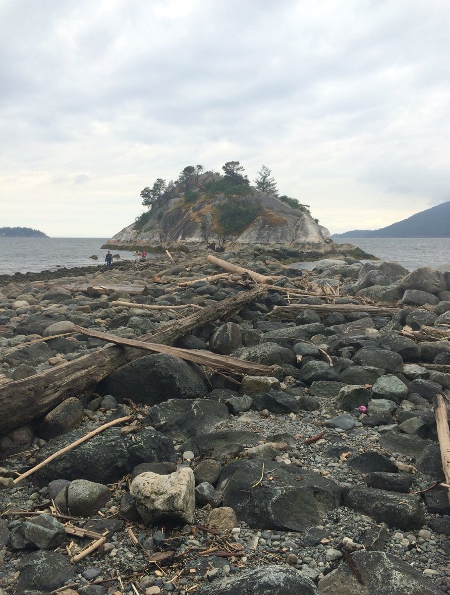 June_Zircon's tweet photo. Cliff climbing at the #Whytecliff park. #whytecliffpark 🐚#Vancouver #hikebc #vancouvertrails #outdoorvancouver #rockclimbing #adventure https://t.co/WXXkHonvQ1