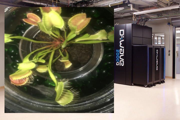 3t1n4rc4d14's tweet image. It&apos;s #CERN fucking with #QuantumTime or #EvilRaccoon fucking with coordinate system, I am not sure, blame Vikings