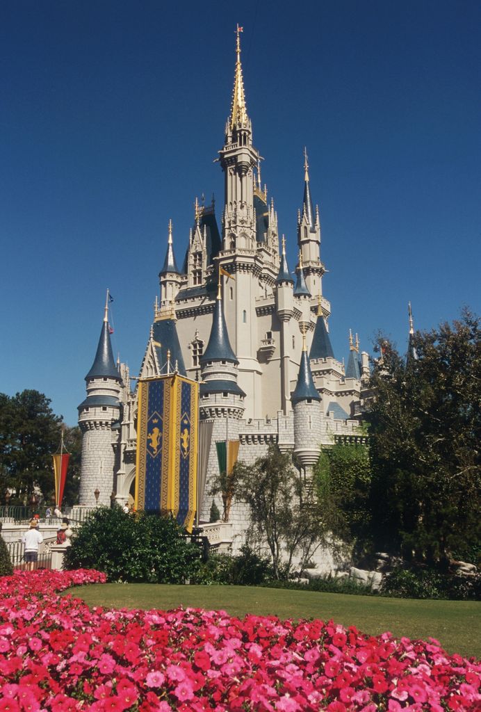 EliteVacHomes's tweet photo. Why rent a hotel room when you can rent the entire house!  Search Disney/Orlando Private Pool Homes, just 10 minutes from #Disney #Orlando and 15-20 minutes from #UniversalStudos https://t.co/prZDmNpGwx