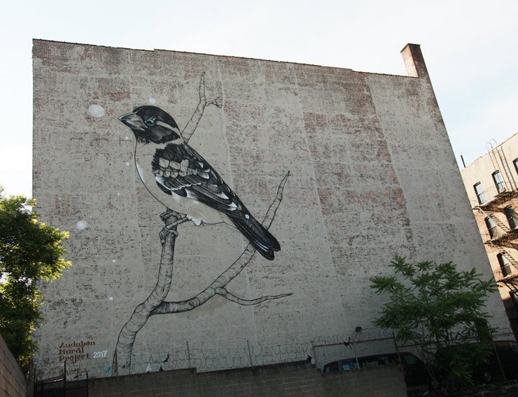BKStreetArt's tweet photo. BSA Images Of The Week: 06.03.18 https://t.co/6LmFMOXe3x
Gitler for Audubon Mural Project. (photo © Jaime Rojo) #gitler @AudubonArt https://t.co/BaN76K8glT