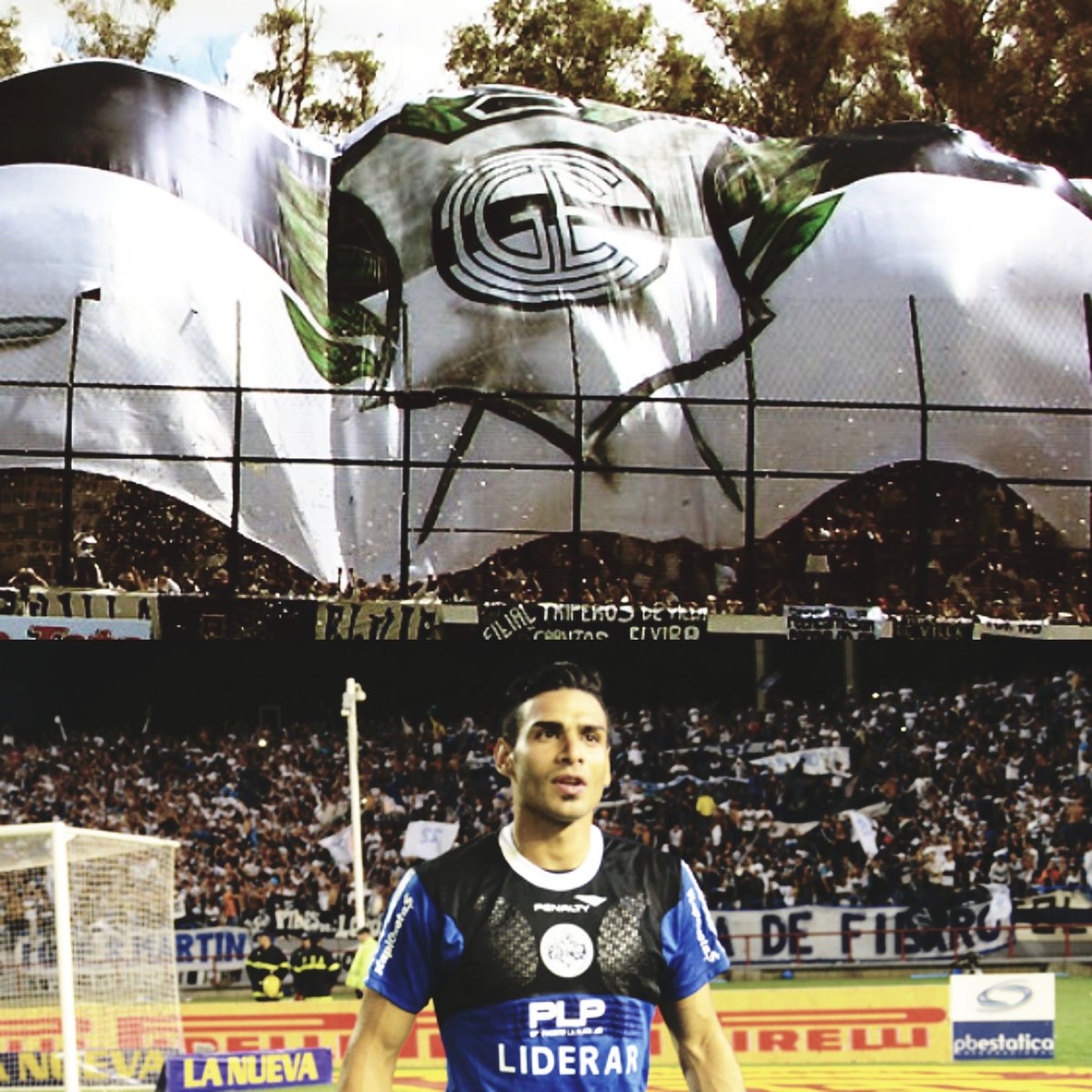 Fernando Monetti tweet media