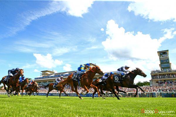ScoopDyga (@scoopdyga) on Twitter photo #STUDYOFMAN avec mention! <a href="/fgchantilly/">FG Chantilly</a> #PrixDuJockeyClub <a href="/pasquito60/">Pasquier Stéphane</a> <a href="/francegalop/">France Galop</a> #STUDYOFMAN avec mention! <a href="/fgchantilly/">FG Chantilly</a> #PrixDuJockeyClub <a href="/pasquito60/">Pasquier Stéphane</a> <a href="/francegalop/">France Galop</a>