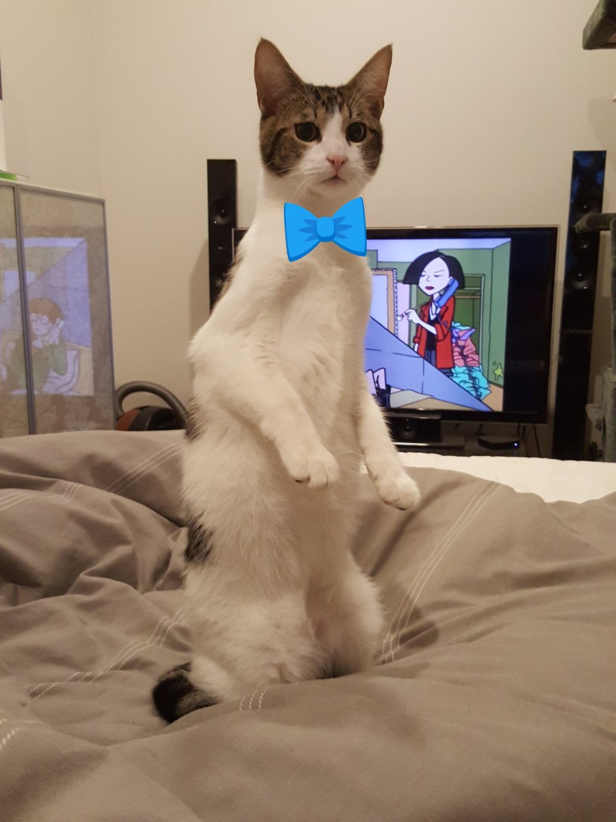 Señor Jackie Chan tweet media