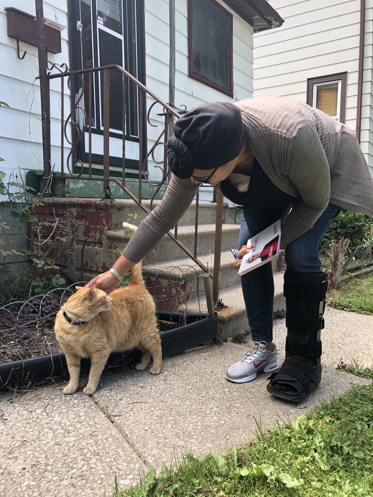 I don’t care what the polls say, we have the feline vote on lock. 
#YQG #CatsForRemy #GoKnockDoors