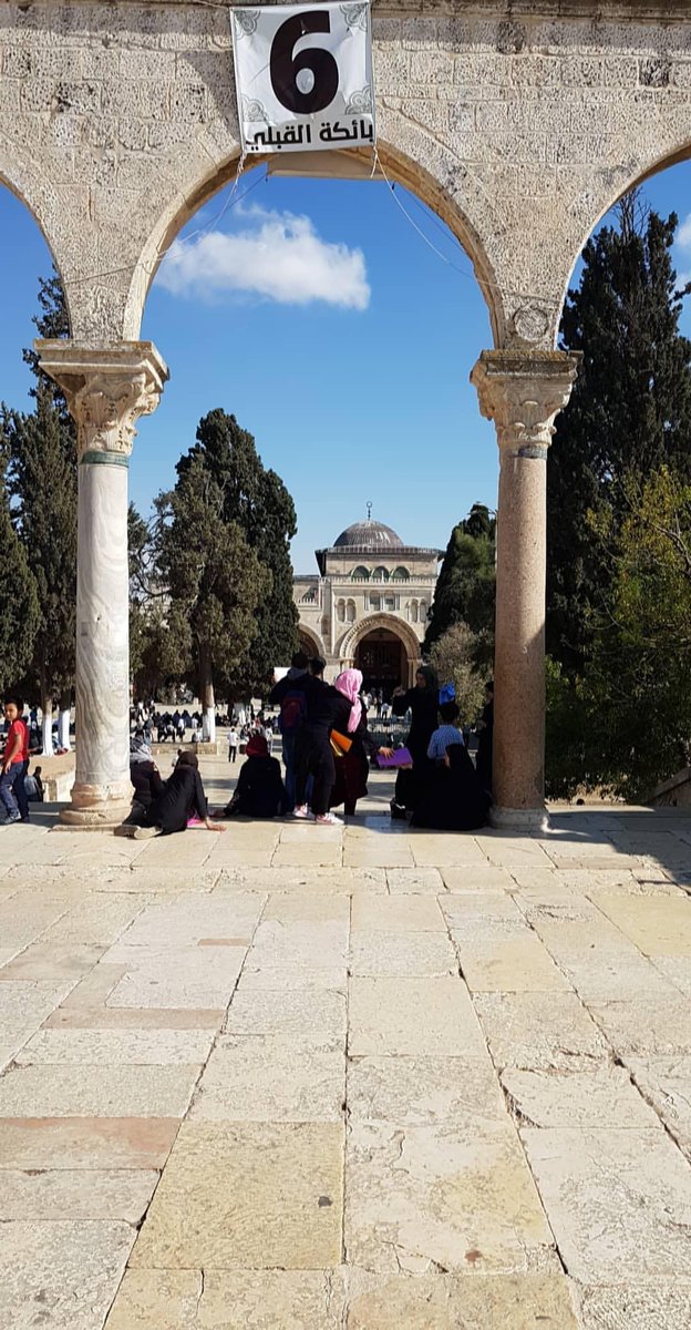 5almanD's tweet photo. Palestine 2018 ❤ - Follow for daily updates from the blessed land of Palestine 
IG: salmandarsot
SC: salmand
#Jerusalem #Palestine #Islam #Muslim #Amazing #love #beautiful
#Peace https://t.co/HoHfoPHWQL