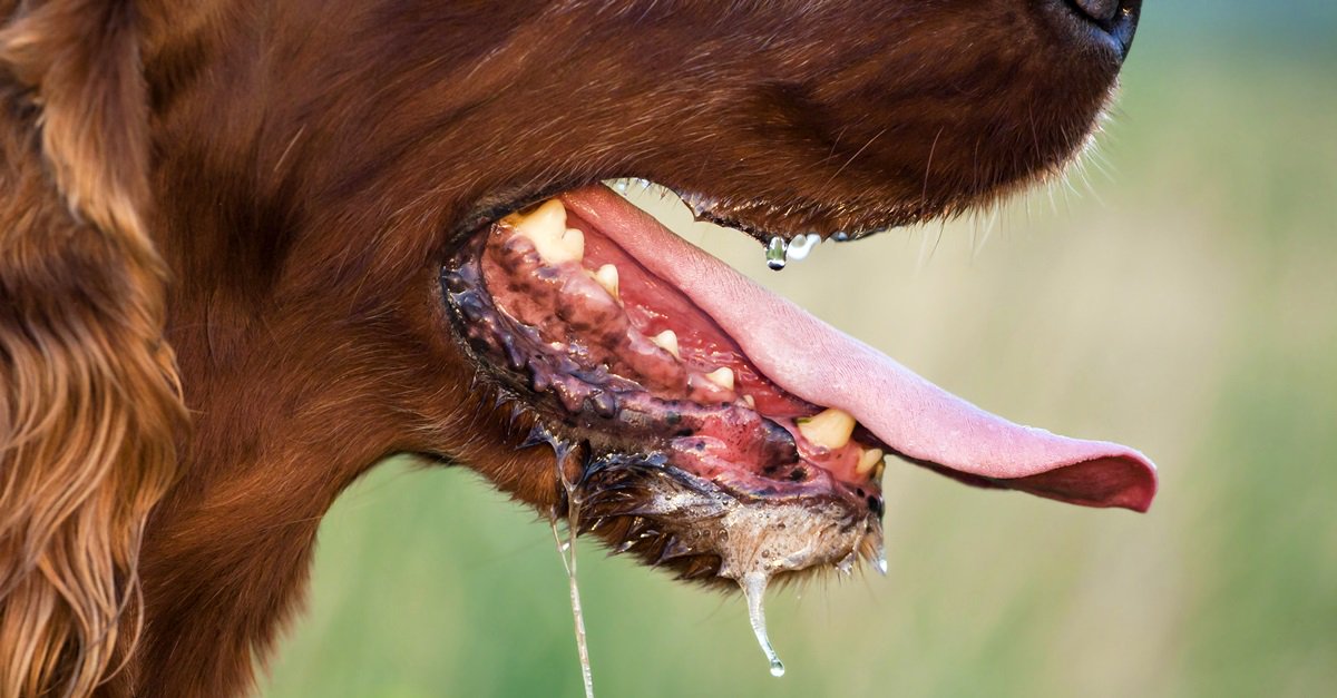 City of Guymon tweet media