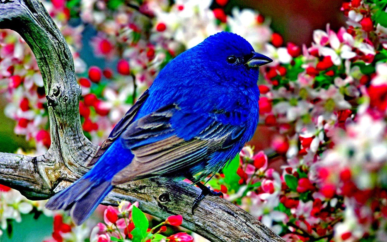 Nature Photography on Twitter: Nature Photography on Twitter:
