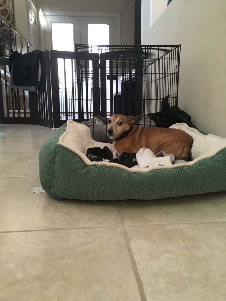 FactsMinute's tweet image. 