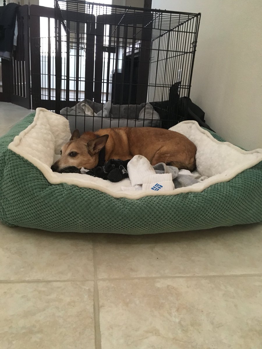 FactsMinute's tweet image. 