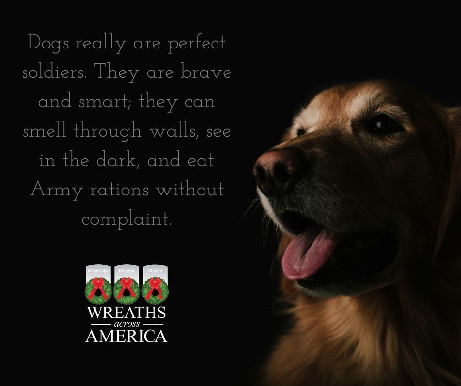 Wreaths Across America tweet media