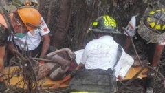 Посмотреть изображение в Твиттере