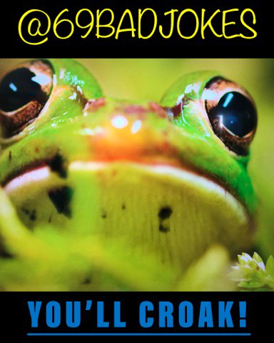 #frog #frogs #waterhabitat #forest #swap #comedy #memes #follow #humor #humour #funny #ish #share #ribit #trees