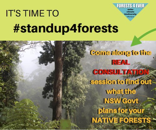 AFCA_Forests's tweet photo. Forest Consultation Sessions in NE NSW
Kyogle Tues 5 June, 5:30pm Kyogle Memorial Hall 
https://t.co/EEL1Fnt1Pd 
Proposed intensive harvesting zone of 140,000ha between Taree and Grafton
Remap protected Old Growth and RF
#StandUp4Forests #SaveOurKoalas #HandsOffOldGrowth #nswpol https://t.co/D6zzDEpvq7