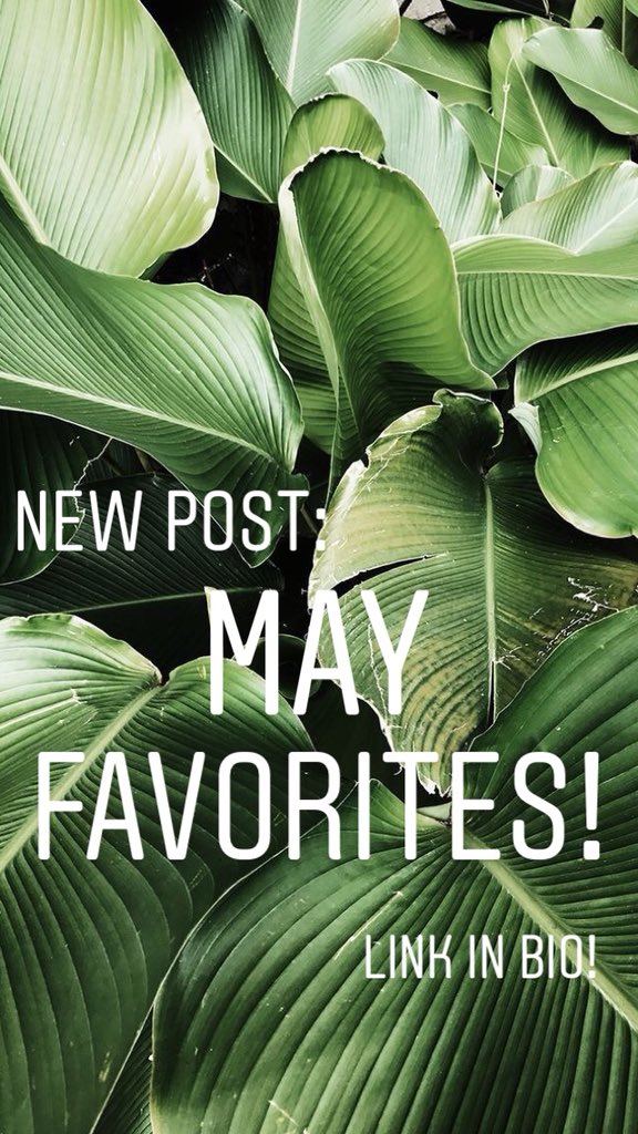 BlogBriana's tweet photo. NEW POST: May Favorites! Please check it out! https://t.co/RGtEXWeQr4
#retweet #tweet #follow #like #comment #read #beauty #health #life #mayfavorites #may #summer #newpost #bloggerswanted #blogger #blog #please #wordpress #summerpost #lifestyle #lifestyleblog #beautyblog #love https://t.co/gkGaXDY9YK
