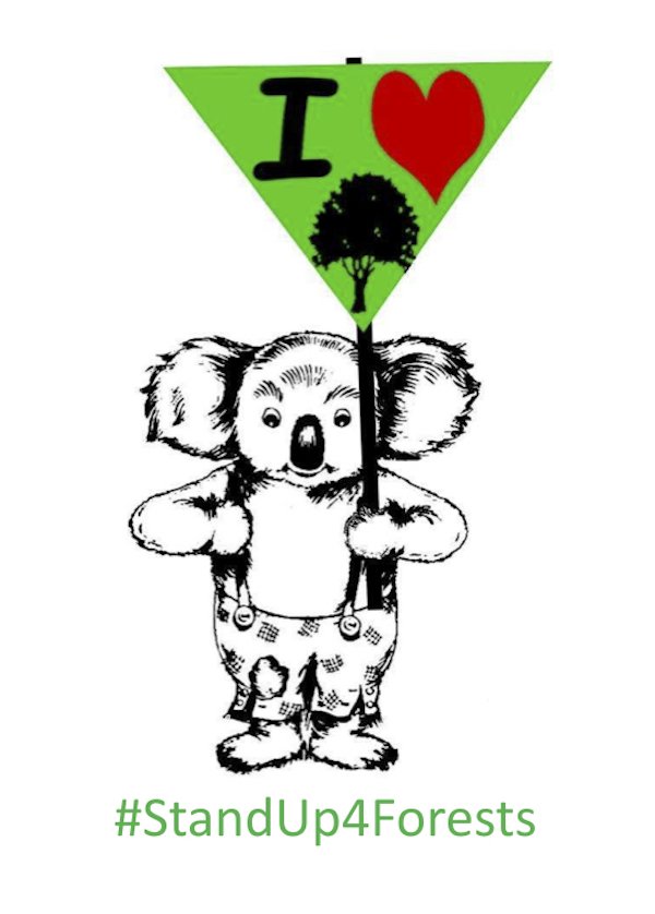 AFCA_Forests's tweet photo. Forest Consultation Sessions in NE NSW
Kyogle Tues 5 June, 5:30pm Kyogle Memorial Hall 
https://t.co/EEL1Fnt1Pd 
Proposed intensive harvesting zone of 140,000ha between Taree and Grafton
Remap protected Old Growth and RF
#StandUp4Forests #SaveOurKoalas #HandsOffOldGrowth #nswpol https://t.co/D6zzDEpvq7