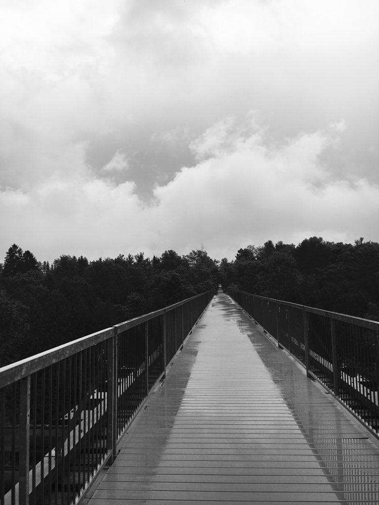 In between rain showers, took a stroll along the @wellingtncounty Trestle Bridge in @CentrWellington and listened to the rumble of thunder off in the distance. Grateful to call this beautiful county home. #qualitytime #sundayvibes #elorafergus @WellingtonCty #GrandRiver