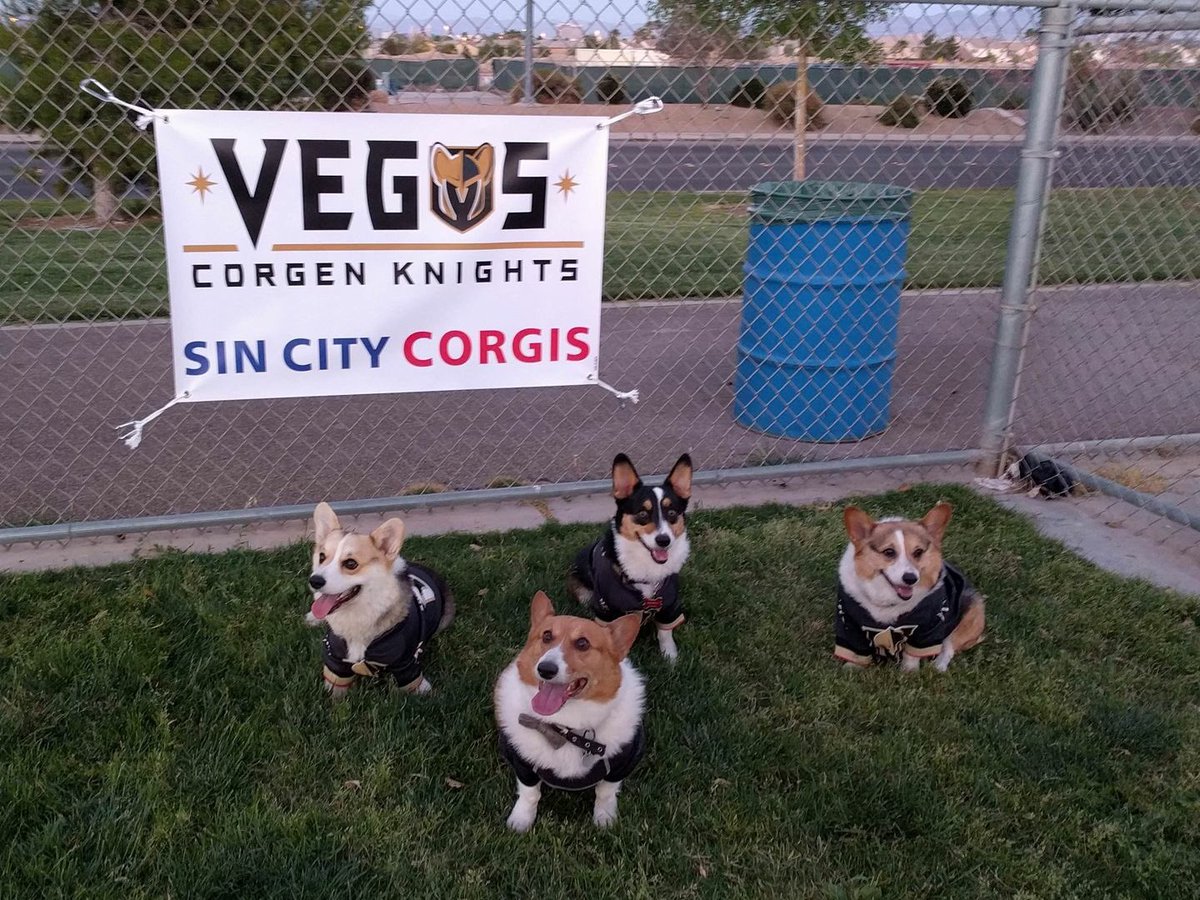 Shmcmahan's tweet photo. @donmartingraham keep an eye out for these new friends when you get back home. https://t.co/MQVgYvsezK