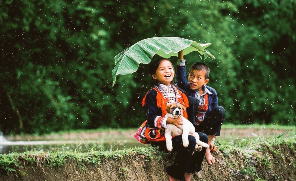 “Sakın, insanın iyisi ile kötüsünü bir tutma. Çünkü bu eşitlik, iyileri iyilikten soğutur. “

Hz. Ali (k.v)