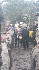 Посмотреть изображение в Твиттере