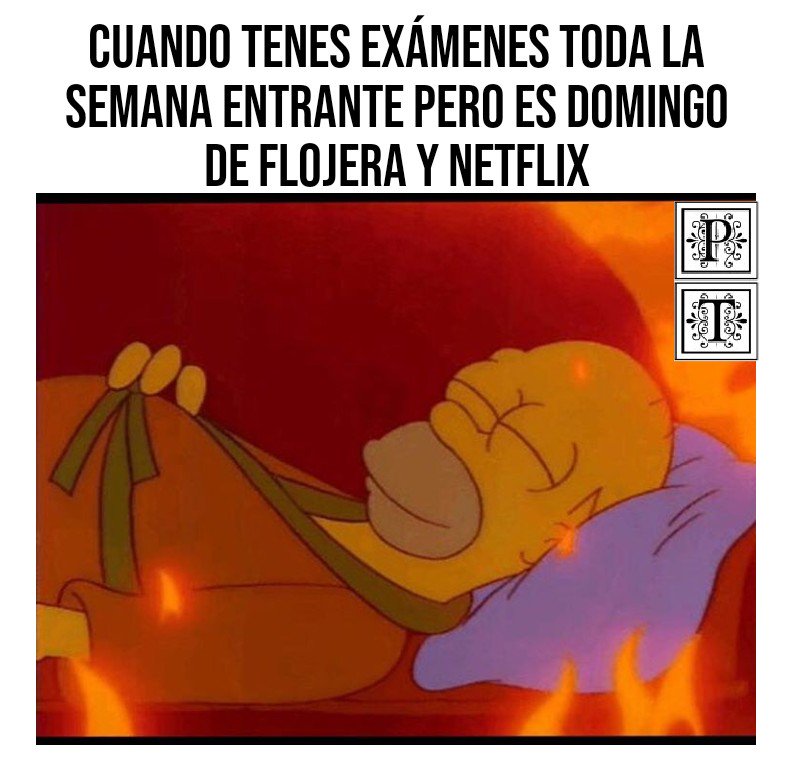 ToonsPolitical's tweet photo. Quién está en la misma? 🙋😂
#sunday #funday #netflix #netflixandchill #tostudyornottostudy #netflixfan #parciales #epocadeparciales https://t.co/Z72us4XTUu