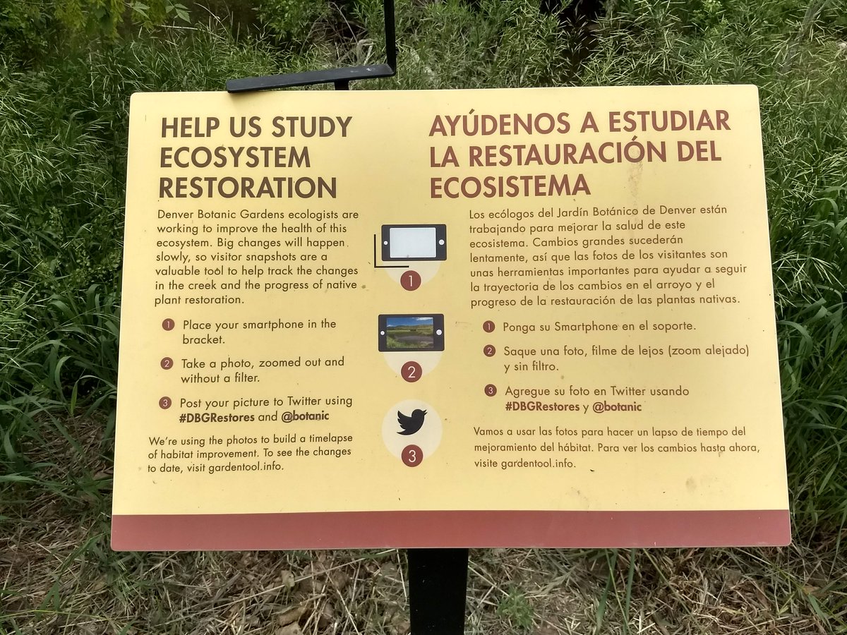 On a walk at Denver @botanic Gardens in Chatfield and came across this one. I'll play. #DBGRestores