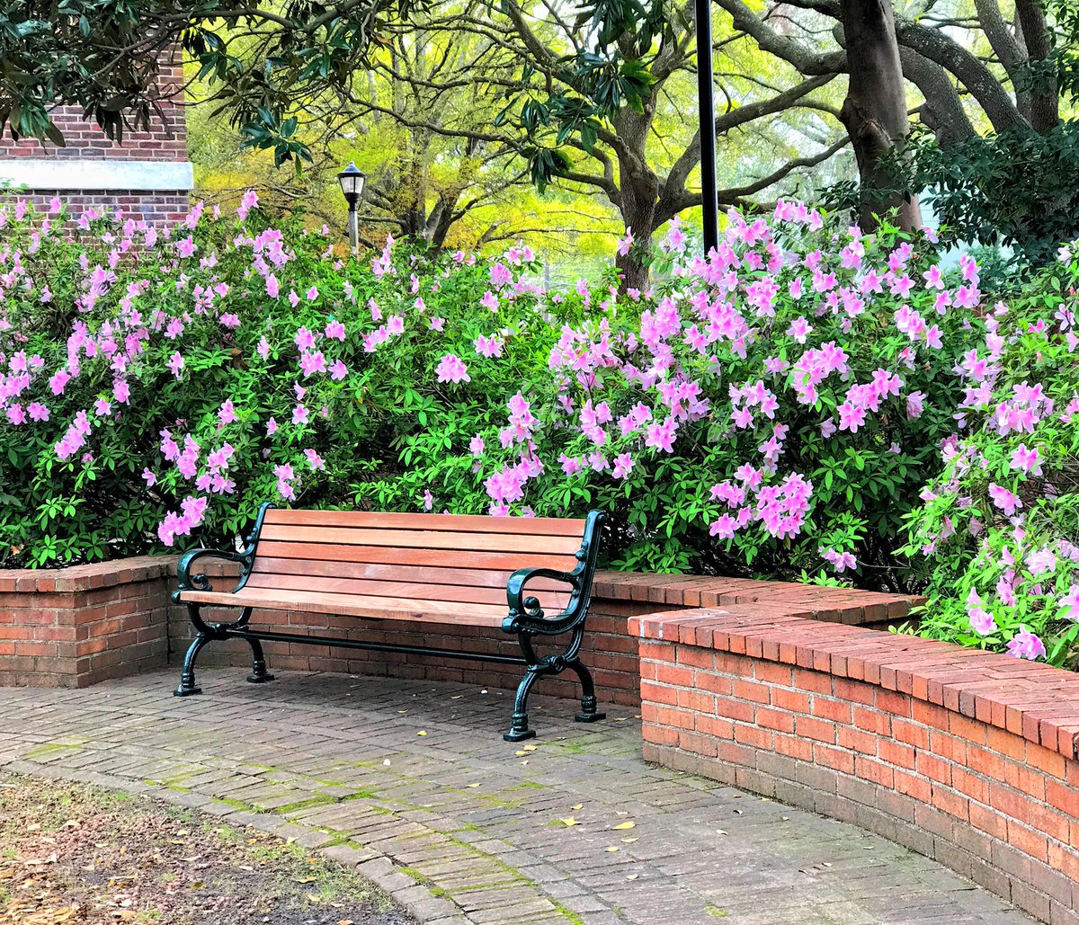 7️⃣8️⃣ days until move-in but who’s counting? 😬 #UofSC