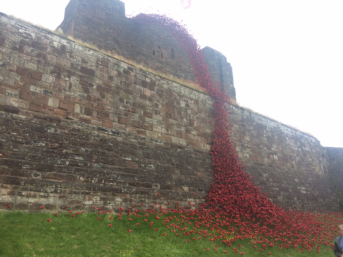 Hayward Tod (HaywardTod) Twitter