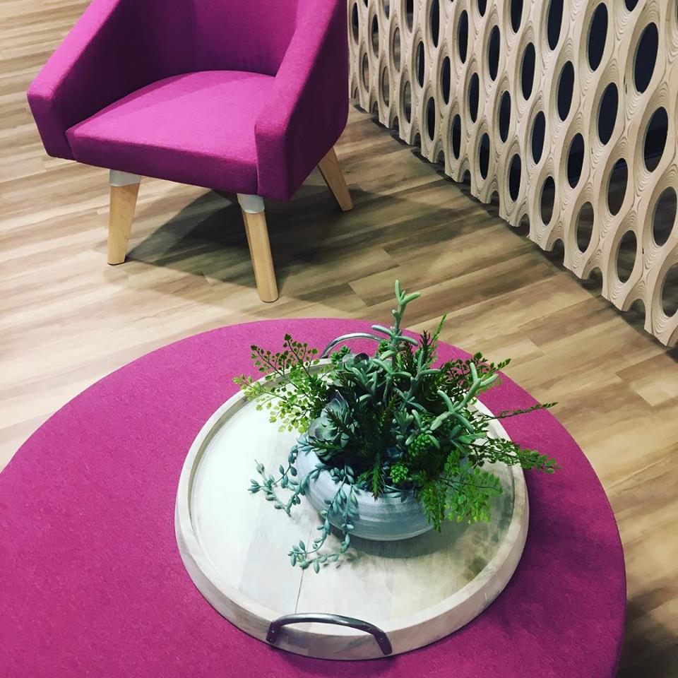 design_monday's tweet photo. #DesignYourMonday with a little color! #fuscia #corporatedesign #greenery #plantsarefriends #safco #architecturalwalls #mondaymotivation #letsdothis #color #brightandhappy https://t.co/n2fCQCaS7g